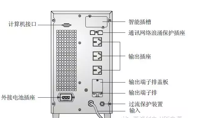 金龙报网站